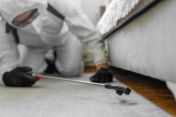 Professional Bed Bug Control technician working in Wisconsin, WI